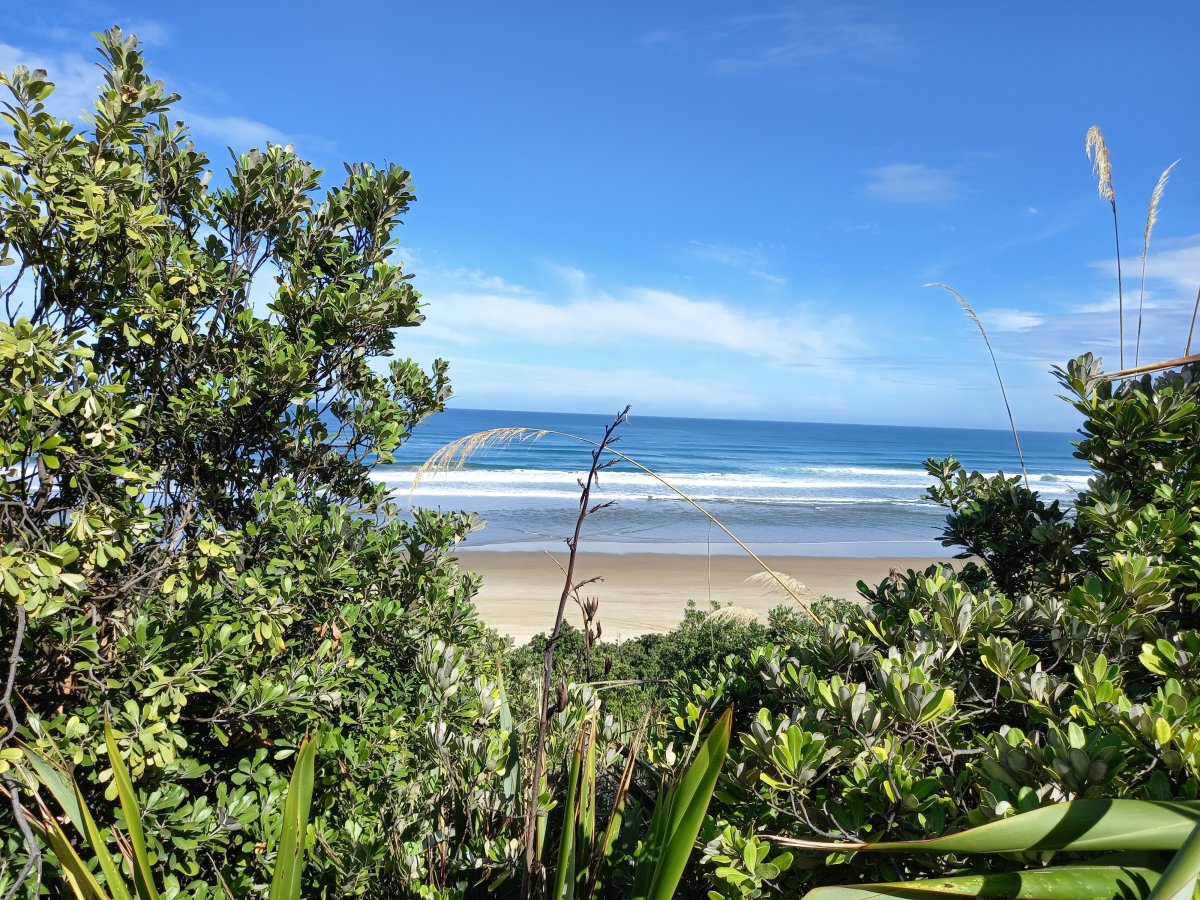 Sustainable Kaipara launches new climate change series 